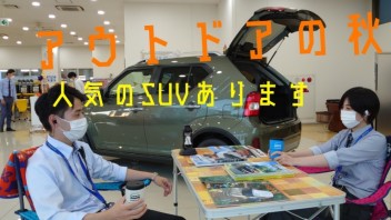 秋はアリーナ福岡東へGO!  スズキは人気ＳＵＶが揃っています